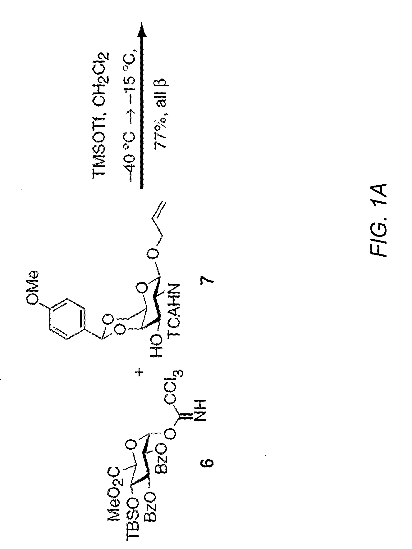Chondroitin sulfate binding proteins and modulators thereof