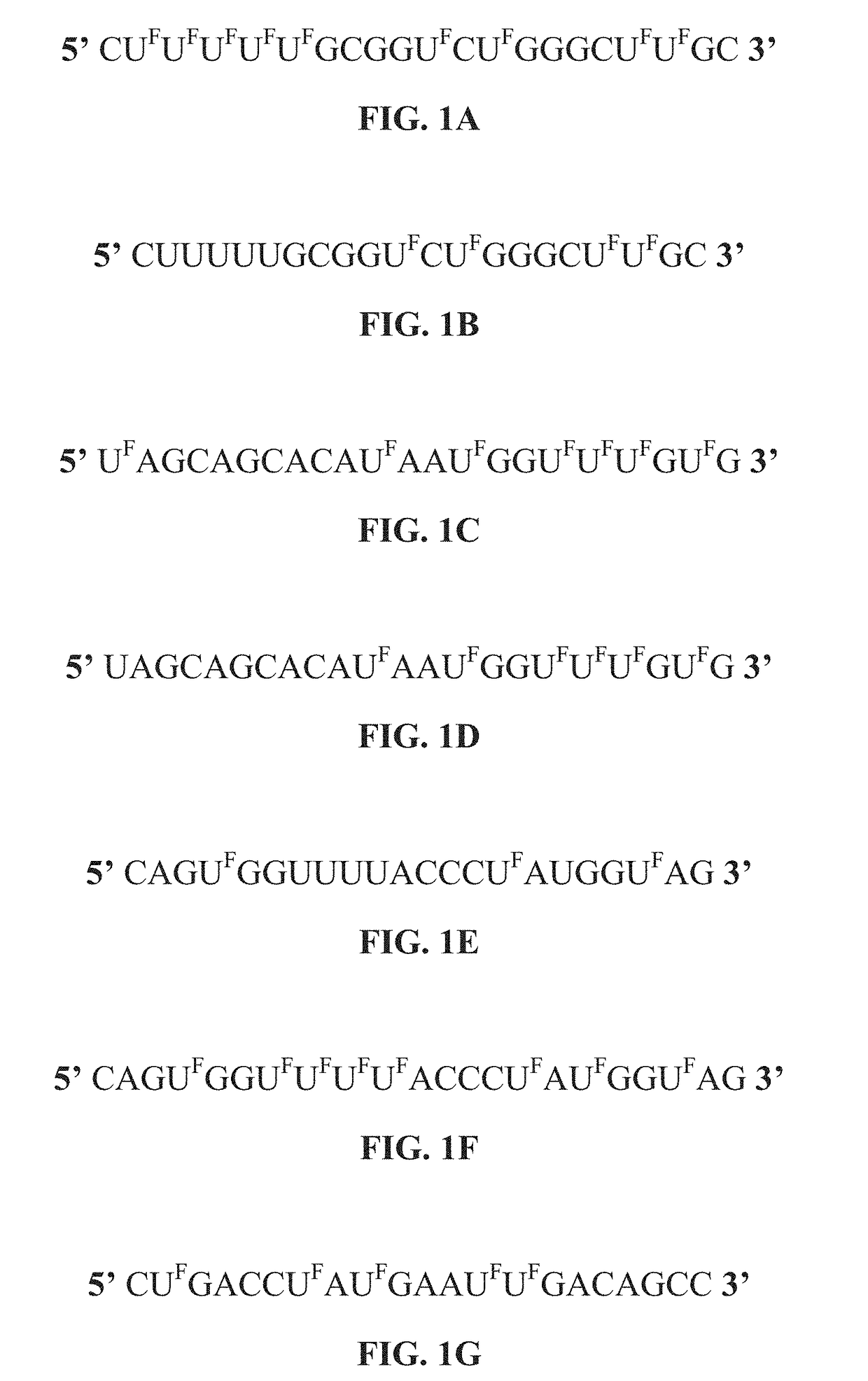 5-halouracil-modified micrornas and their use in the treatment of cancer