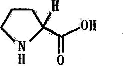 Preparation method of functional amino proline