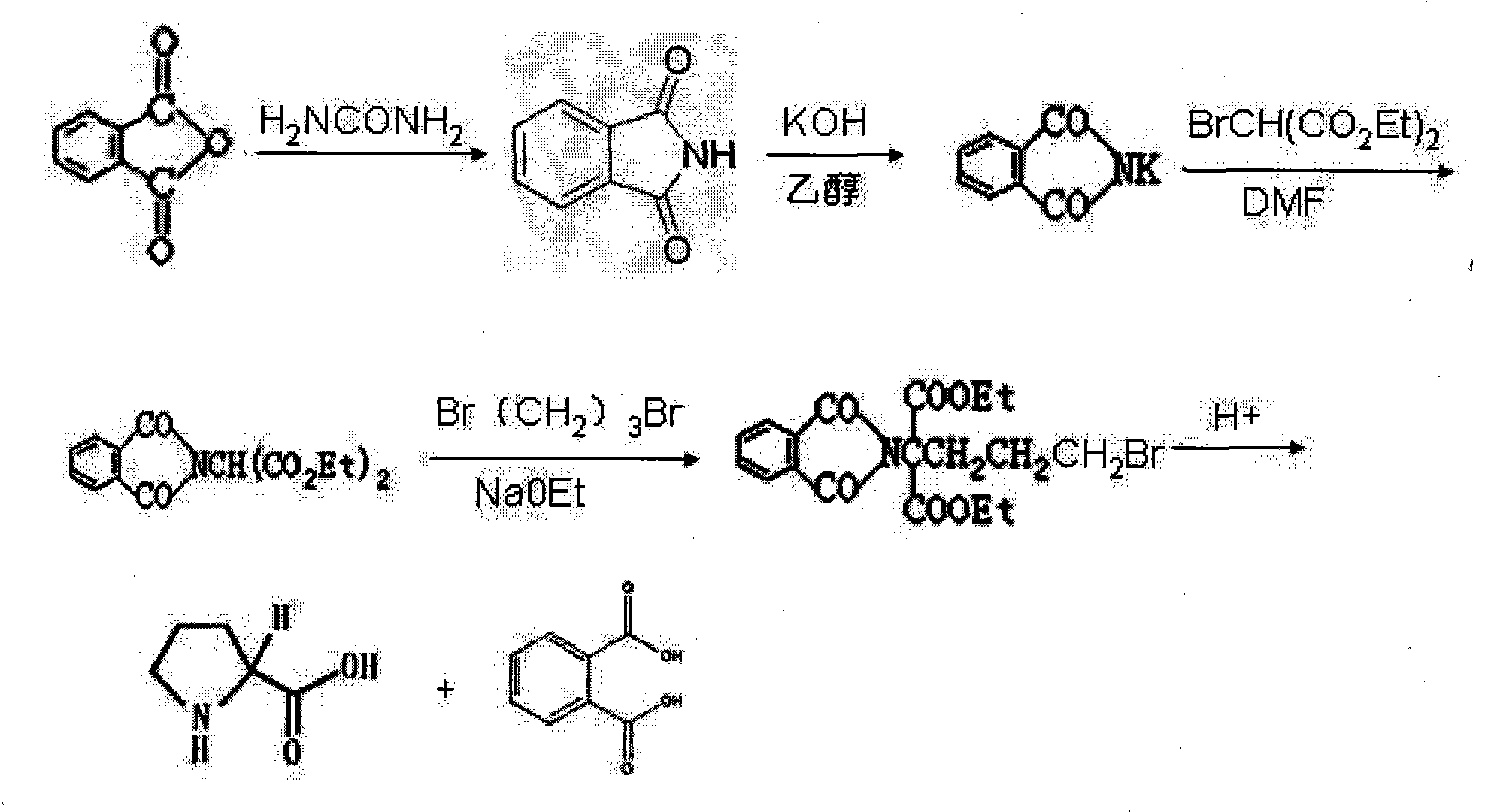 Preparation method of functional amino proline