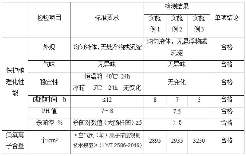 A kind of negative oxygen ion functional wall material maintenance agent and preparation method thereof