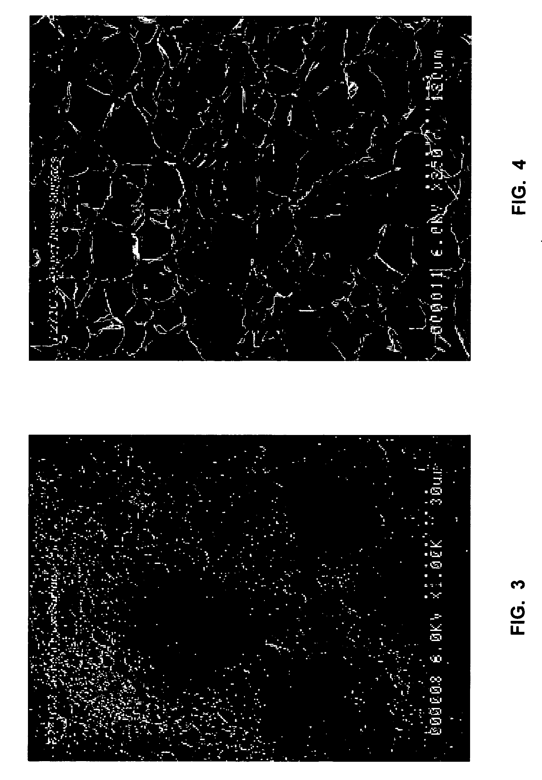 Lightweight concrete compositions containing antimicrobial agents