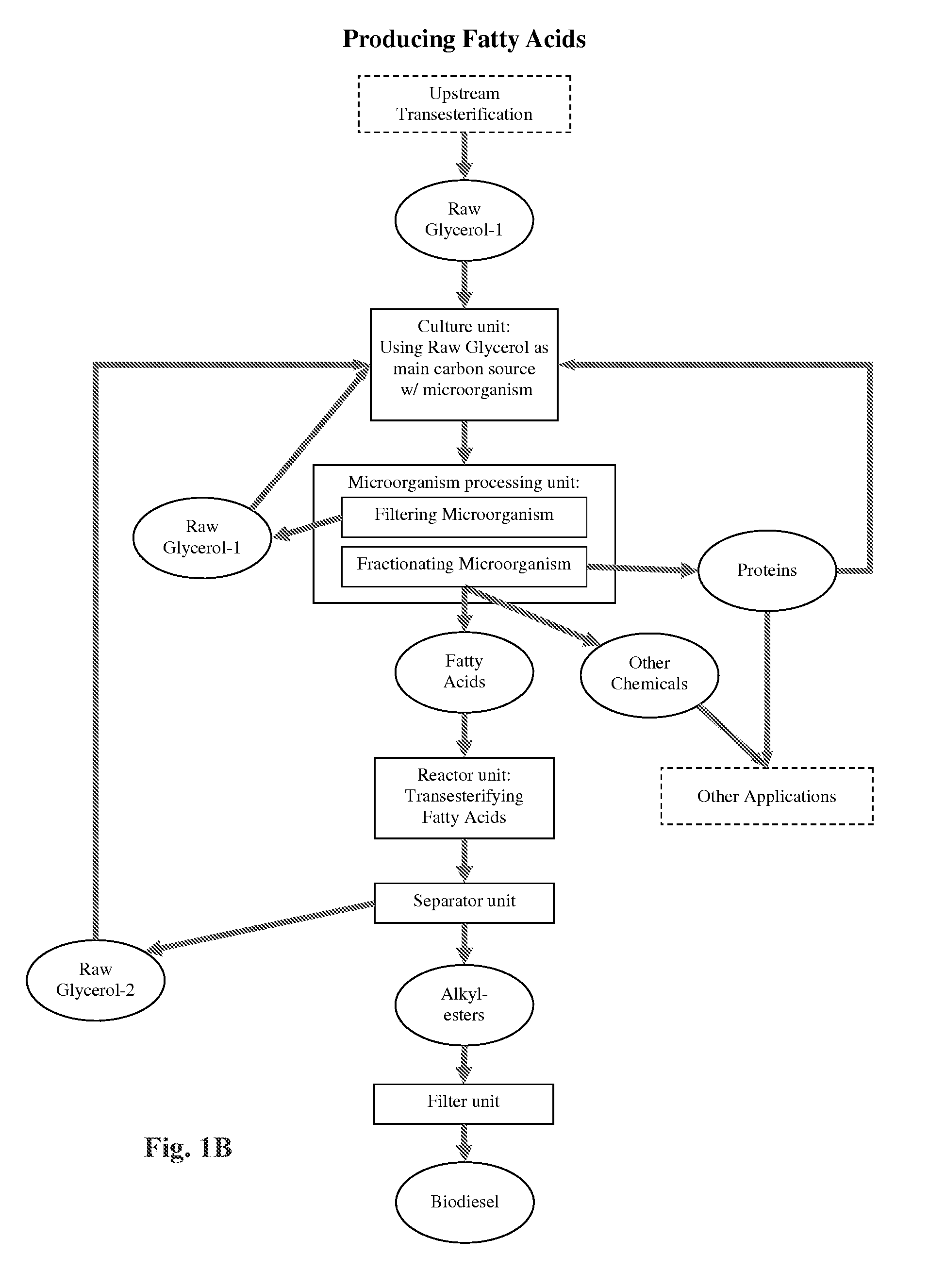 Method of producing fatty acids for biofuel, biodiesel, and other valuable chemicals