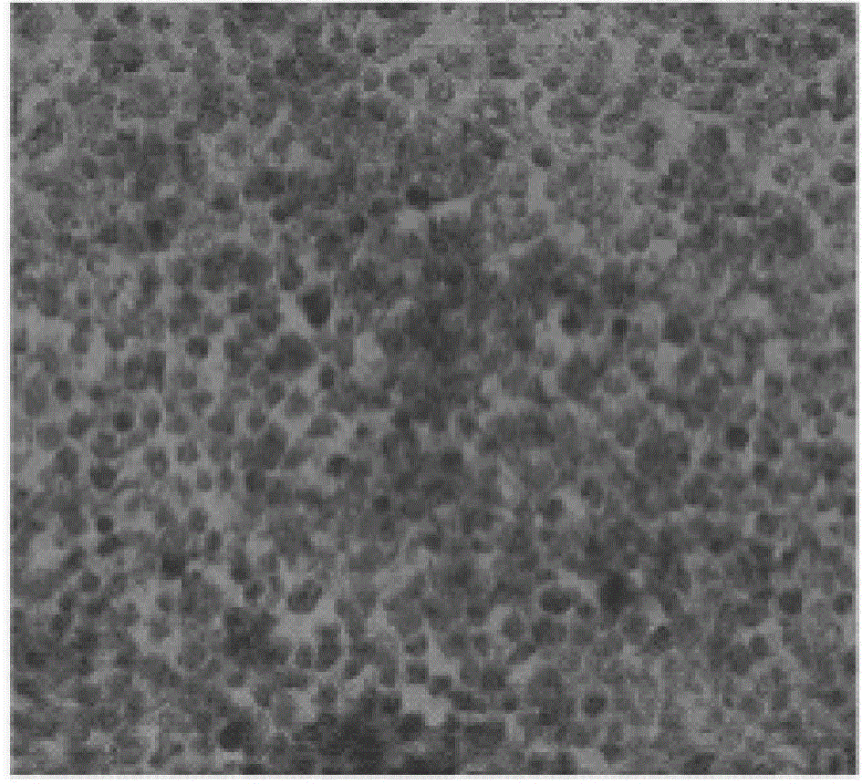 Orf virus virulence gene VIR-deleted (interferon-resistance gene deleted) mutant and its preparing method and application