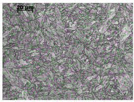 Superhigh-strength high-toughness steel plate for ocean engineering and production method thereof