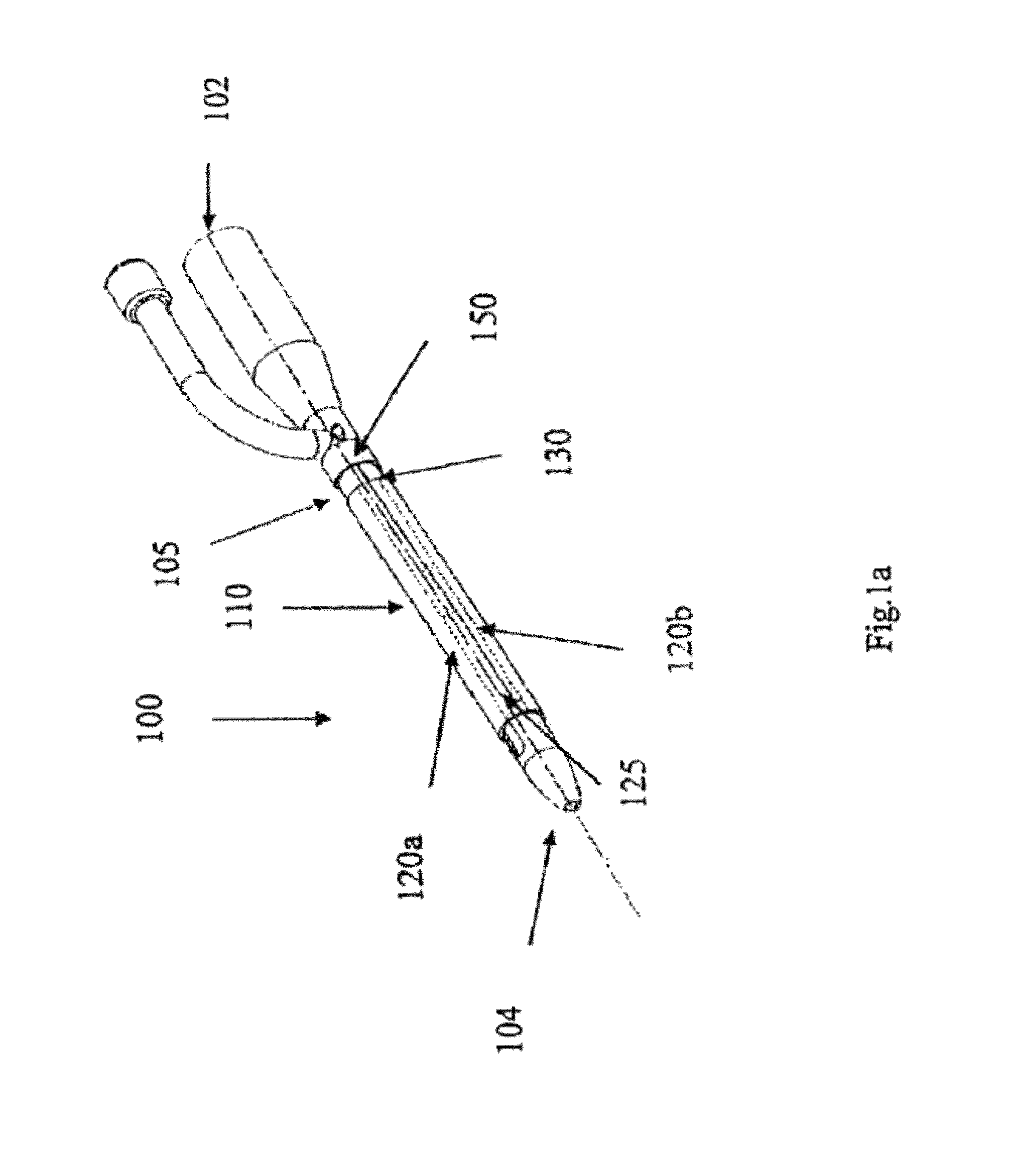 Indwelling device