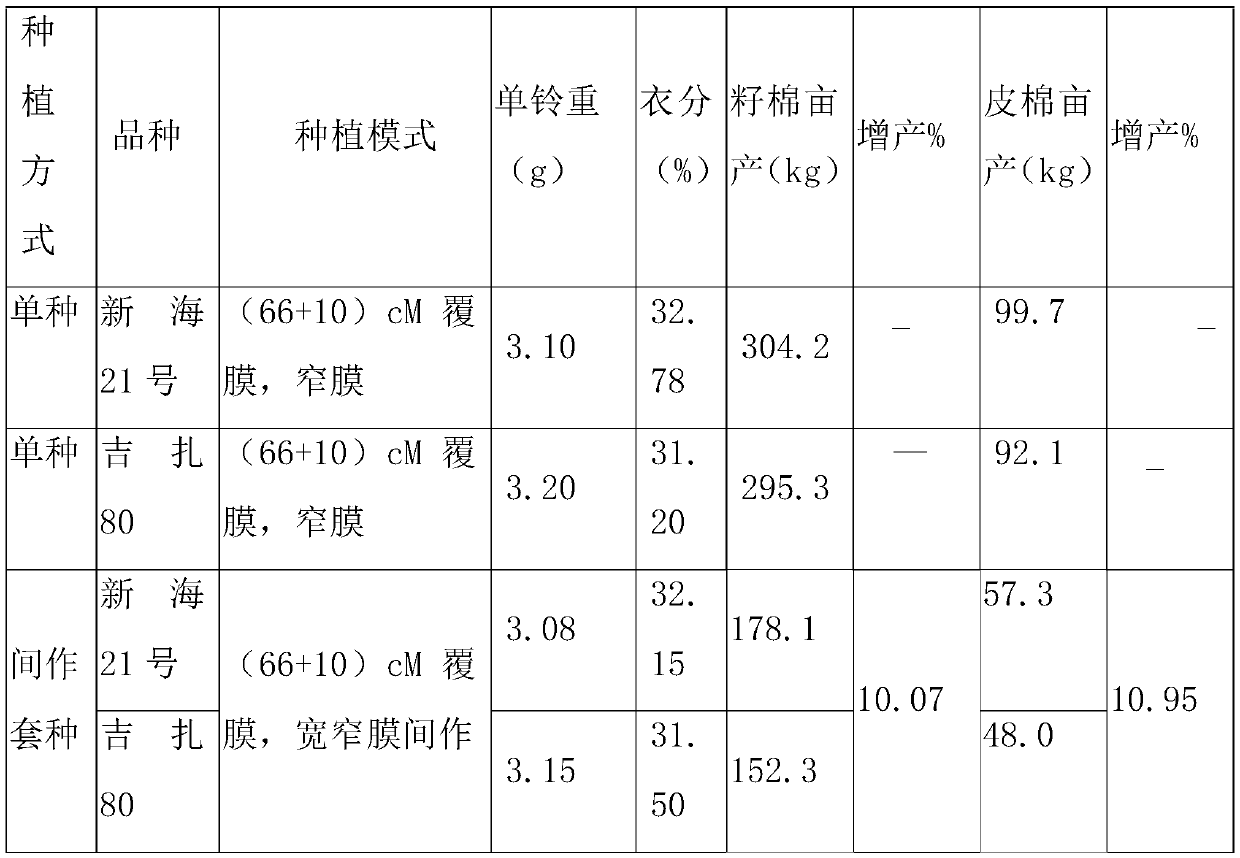 High-yield cultivation method of crop rotation of sea island cottons with long and short fruit branches