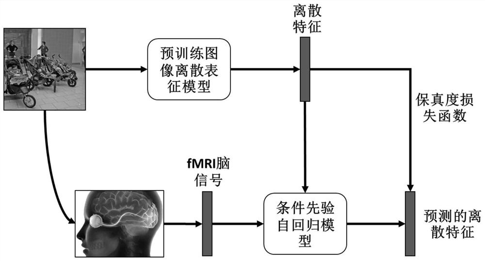 FMRI visual reconstruction method based on discrete representation and conditional autoregression