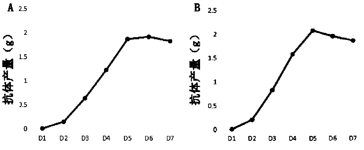 Engineering cell strains capable of stably and efficiently expressing HCV NS3 protein antibody and application thereof