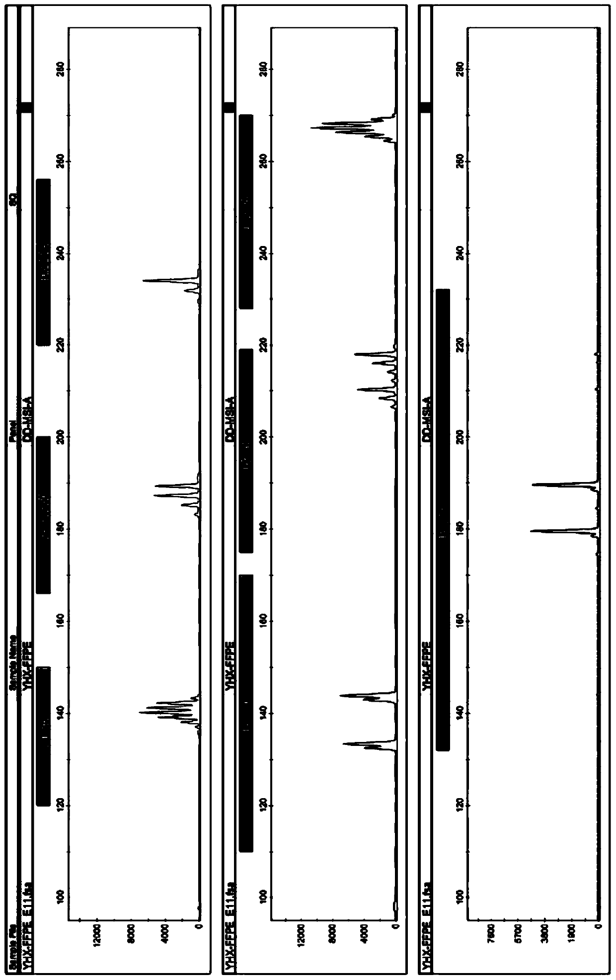 Human circulating tumor cell MSI (micro-satellite instability) detection primer set, kit and method