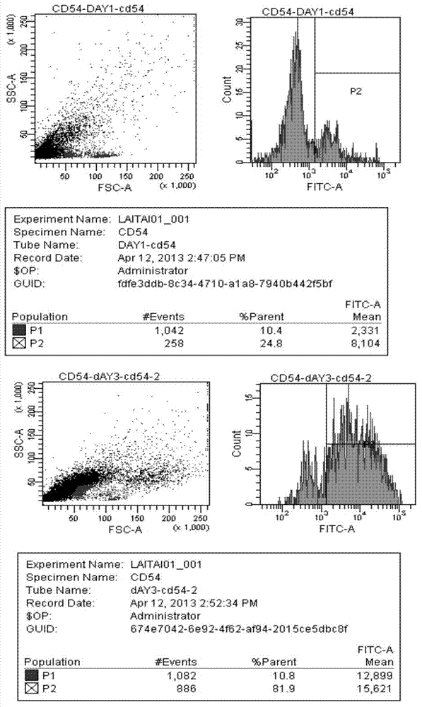 DC (Dendritic Cell) vaccine as well as preparation method and application thereof