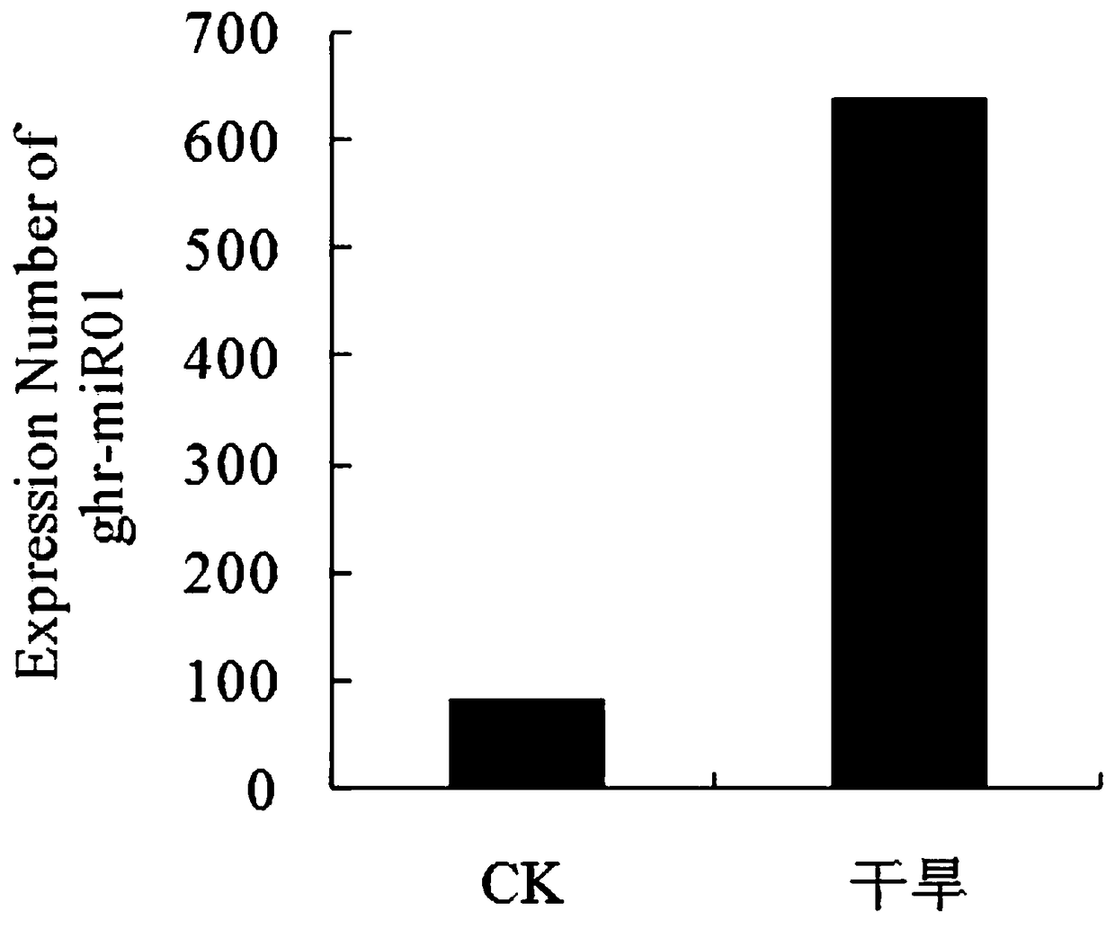 A kind of miRNA related to plant response to drought stress——ghr-mir17 and its application