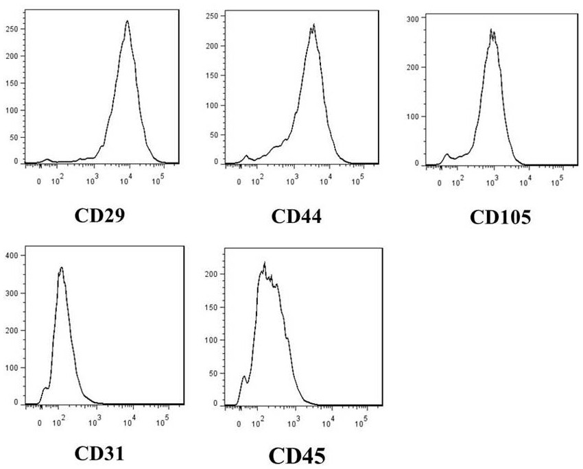 Preparation method and application of stem cell extract