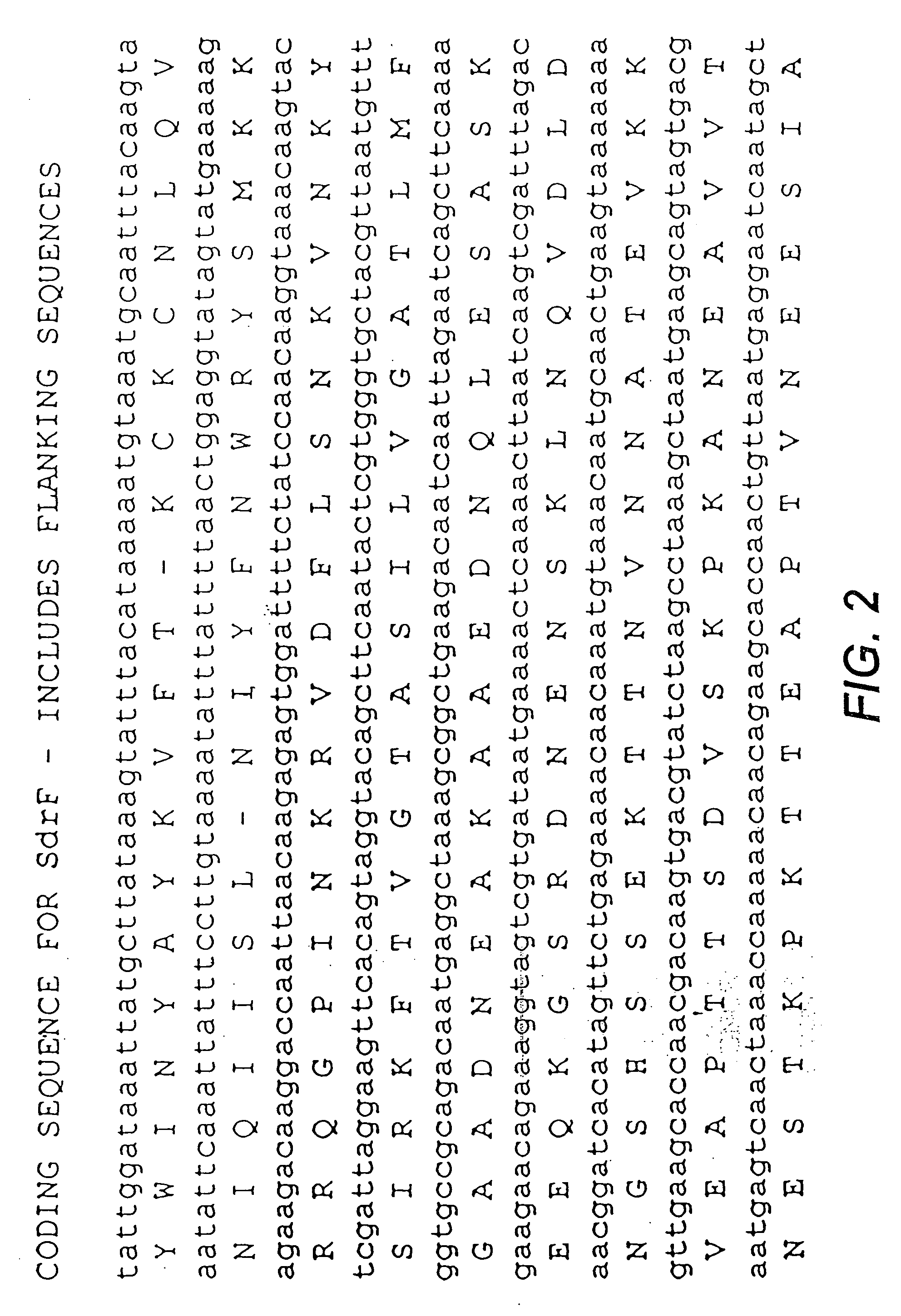 Polypeptides and polynucleotides from coagulase-negative staphylococci