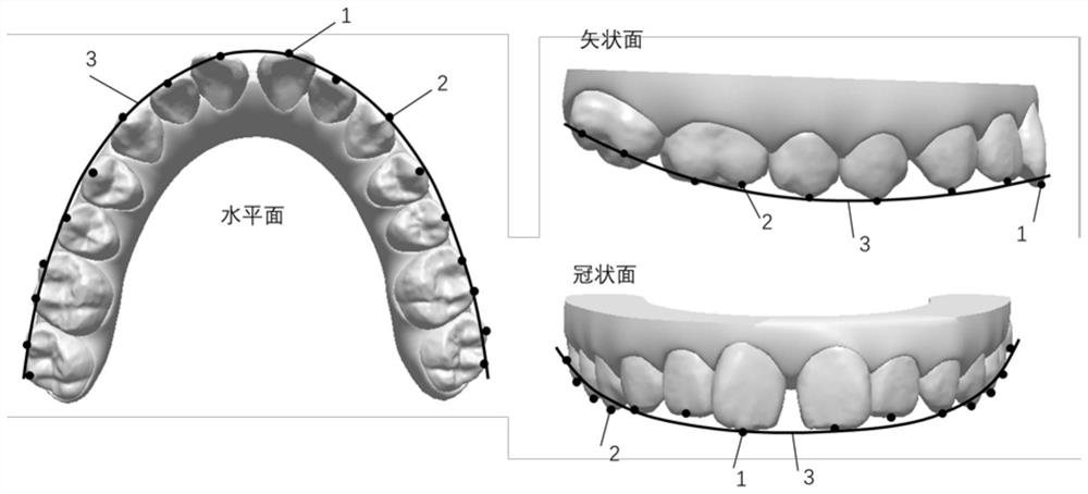 Establishment method of coordinate system based on target dental arch curve, automatic tooth arrangement method and tooth movement evaluation method