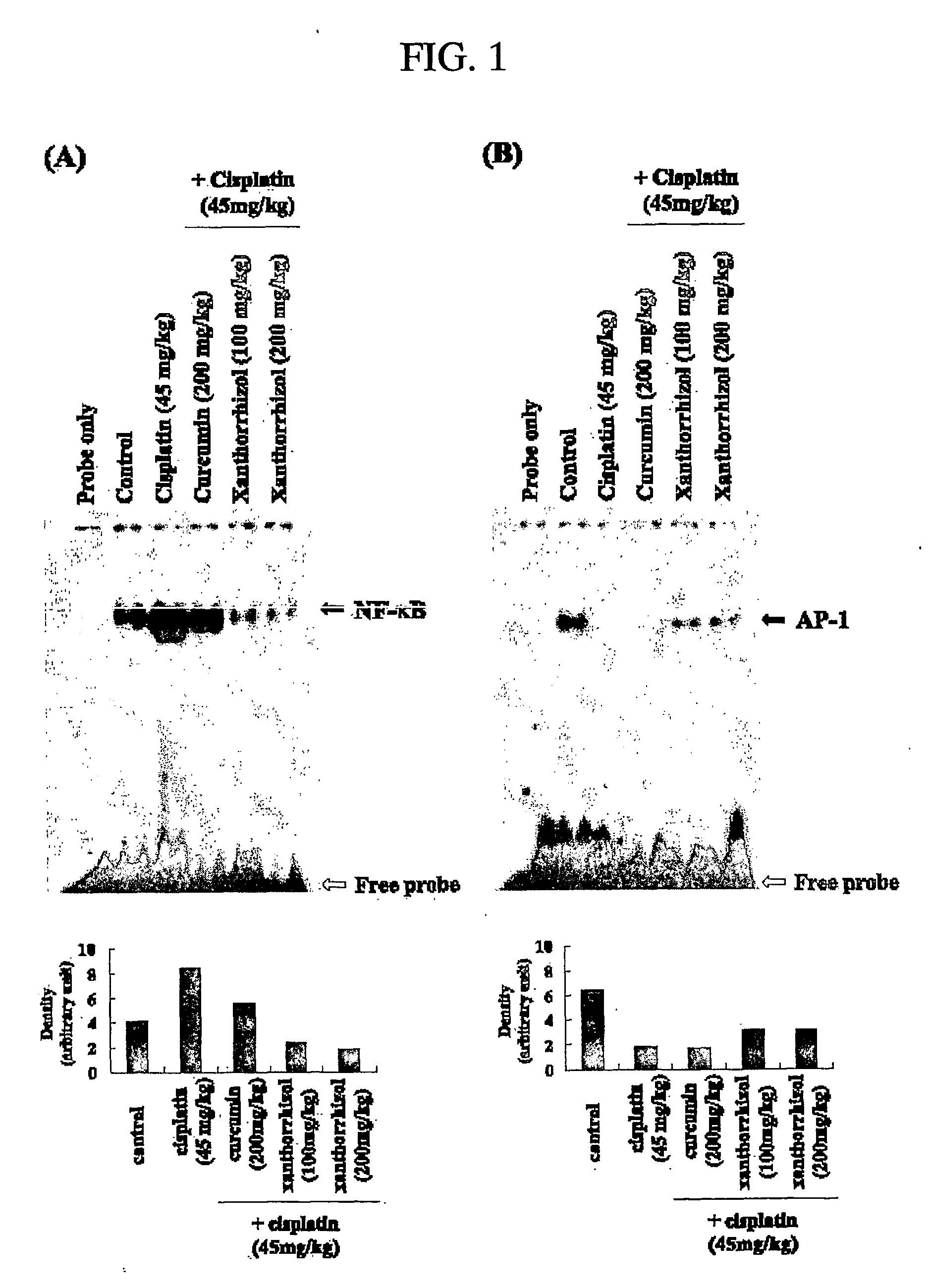 Supressant of toxicity induced by cancer chemotherapeutic agent and composition of cancer chemotherapeutic agent containing the same