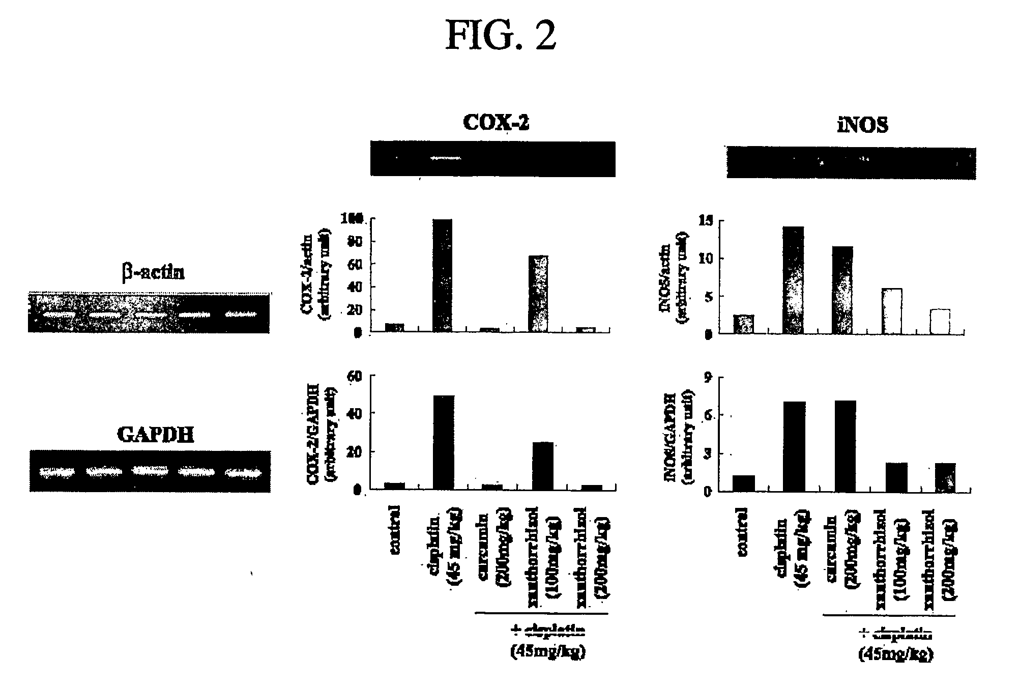 Supressant of toxicity induced by cancer chemotherapeutic agent and composition of cancer chemotherapeutic agent containing the same
