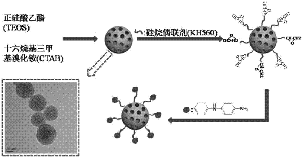 Functional mesoporous silicon dioxide nanoparticles with effect of resisting ageing and preparing method and application of functional mesoporous silicon dioxide nanoparticles