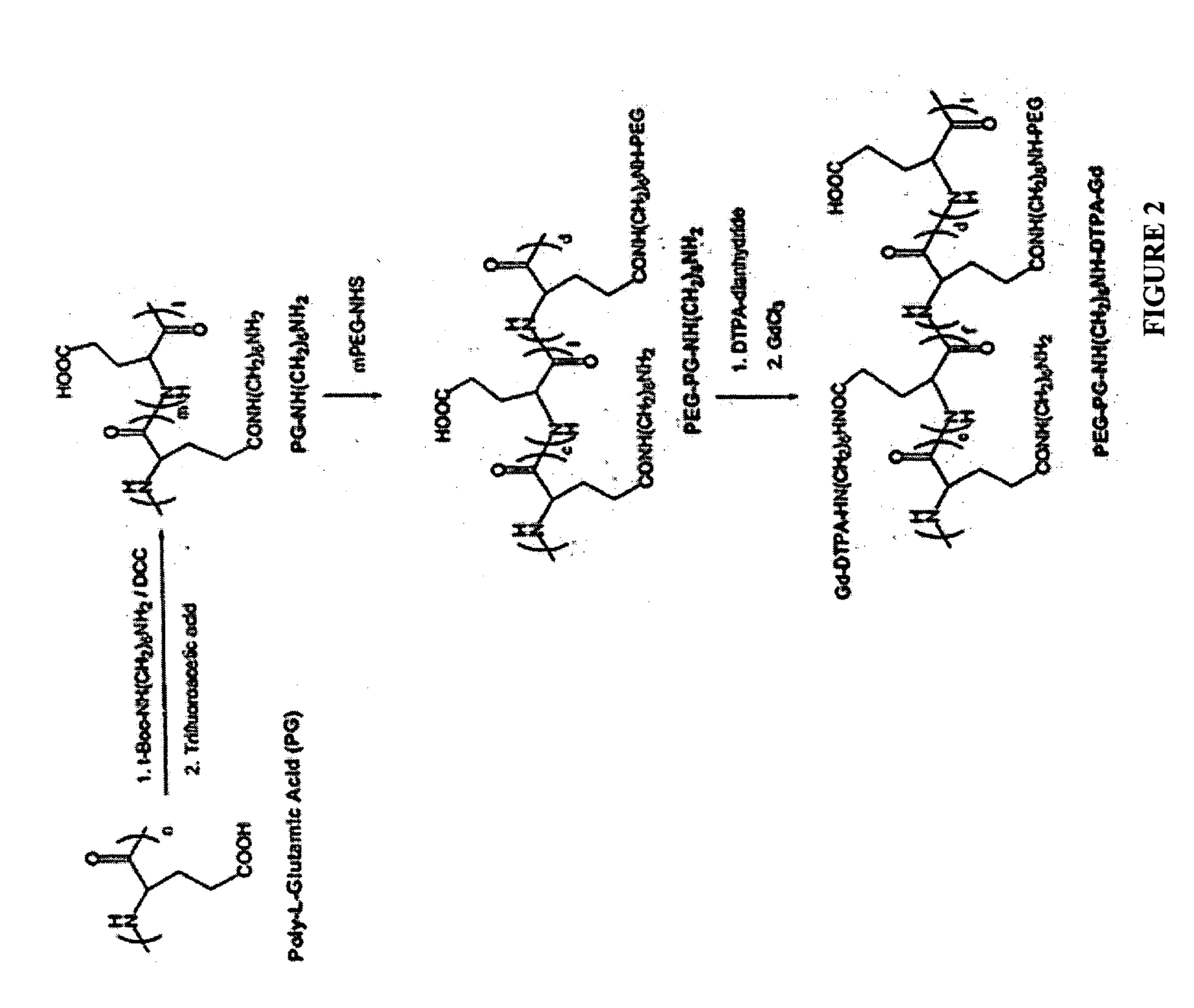 Poly (L-glutamic acid) paramagnetic material complex and use as a biodegradable MRI contrast agent
