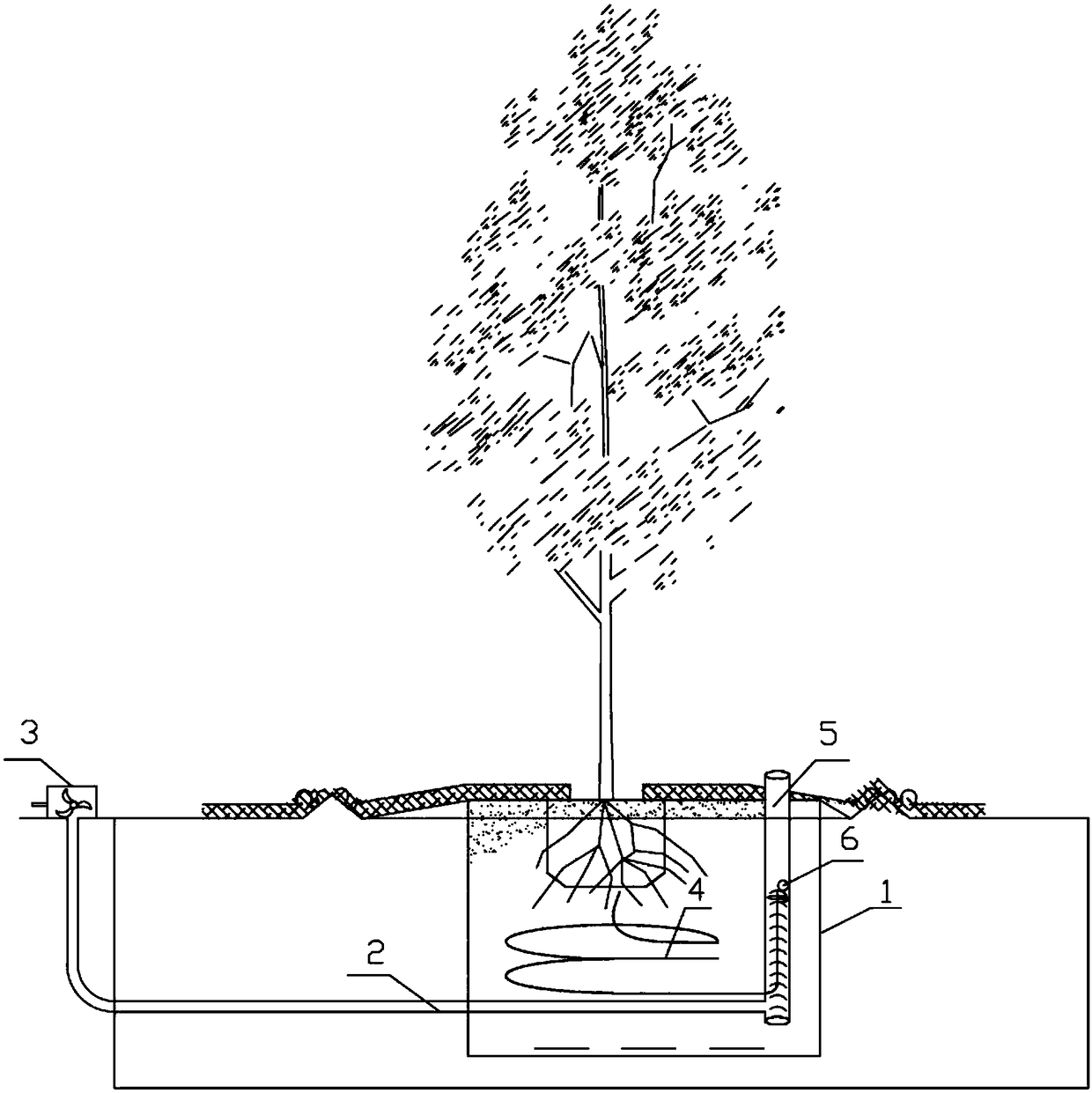 Apparatus and system for intelligently adjusting water level of tree root system and control method of apparatus and system
