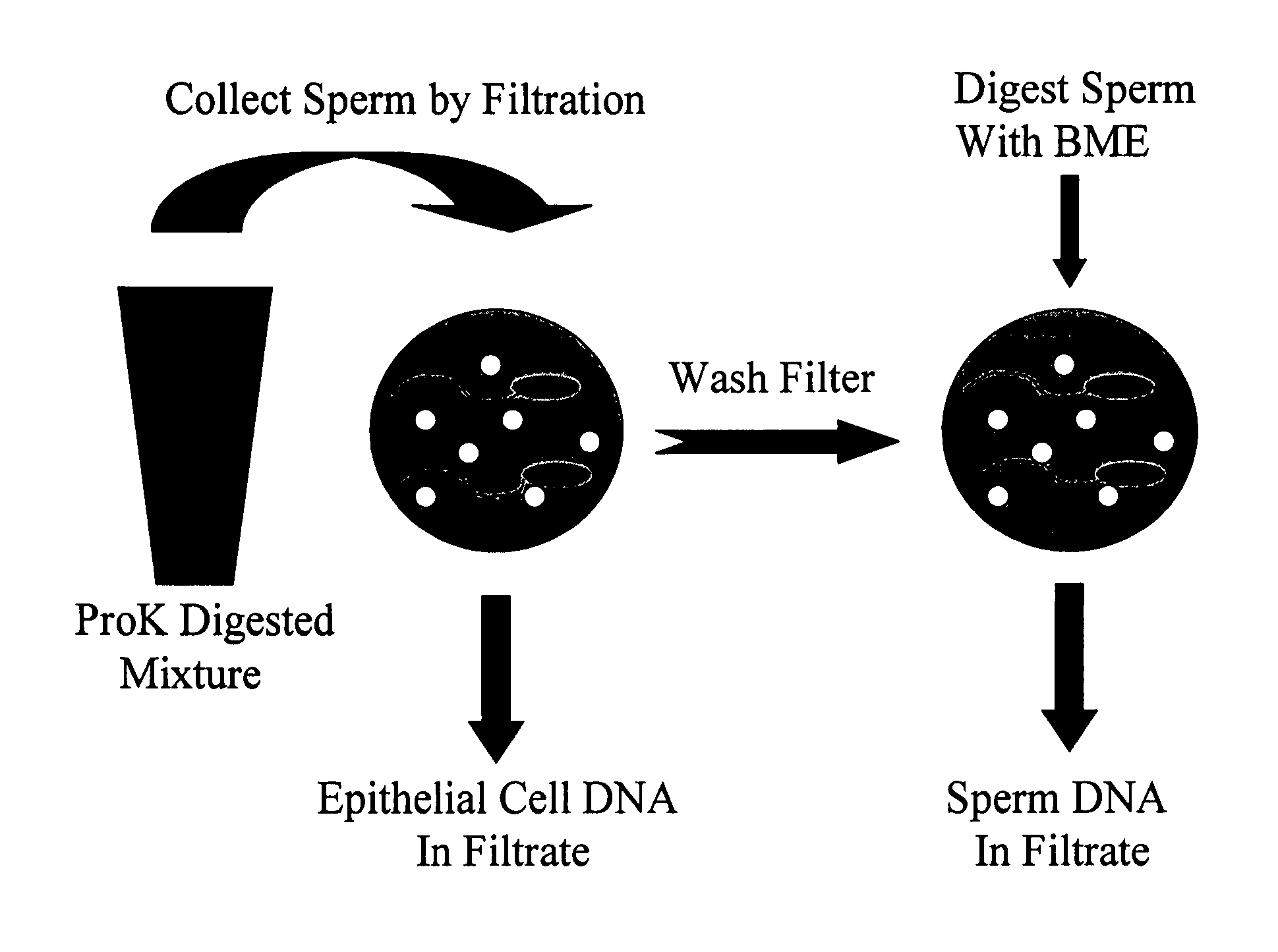 Method for processing samples containing sperm and non-sperm cells for subsequent analysis of the sperm DNA