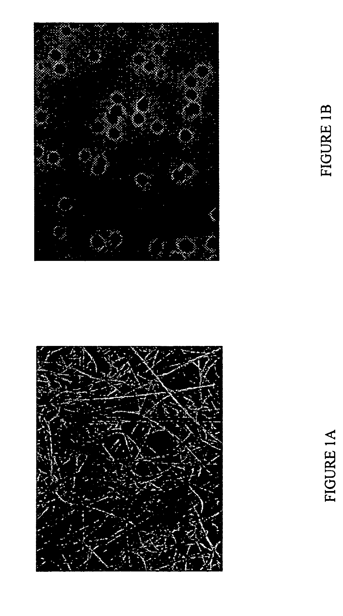 Method for processing samples containing sperm and non-sperm cells for subsequent analysis of the sperm DNA