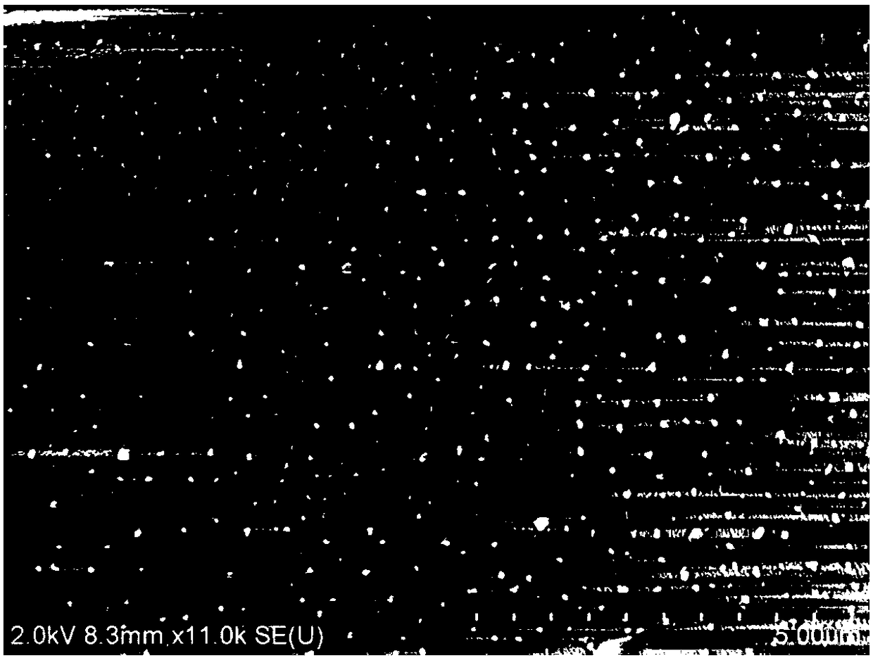 Composite membrane sensor and method thereof for detecting vibrio parahemolyticus