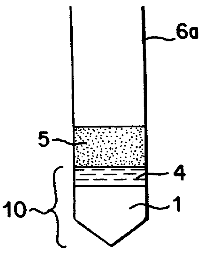 Gelled system and method for detecting microorganisms by separation and culture on gelled system