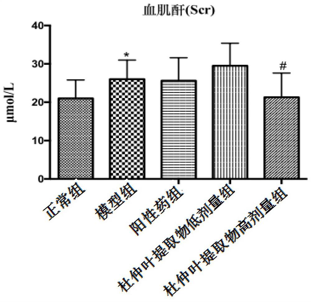 Preparation method and application of folium cortex eucommiae extract for preventing and treating hypertension kidney injury