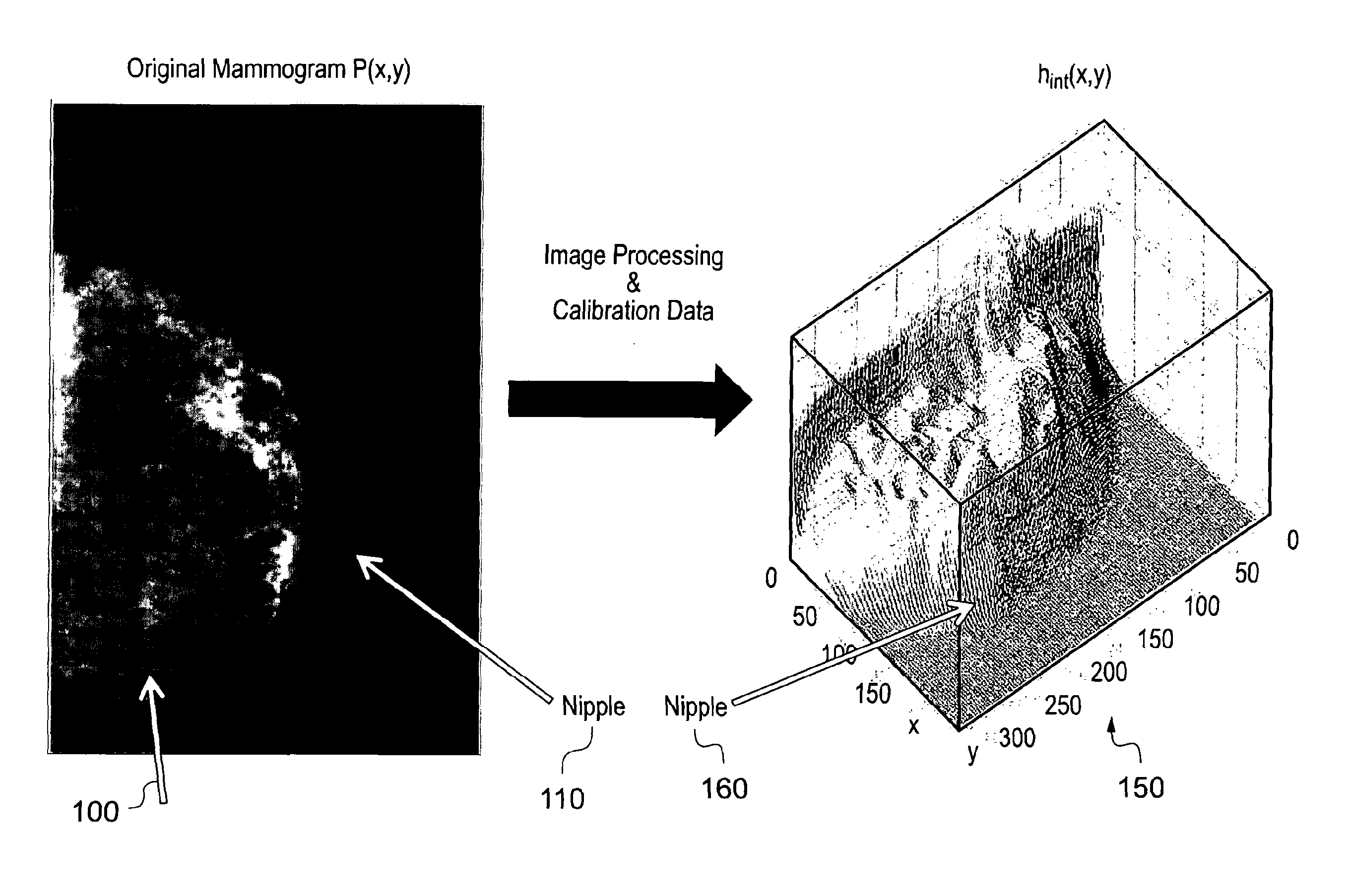 Method and system for analysing tissue from images