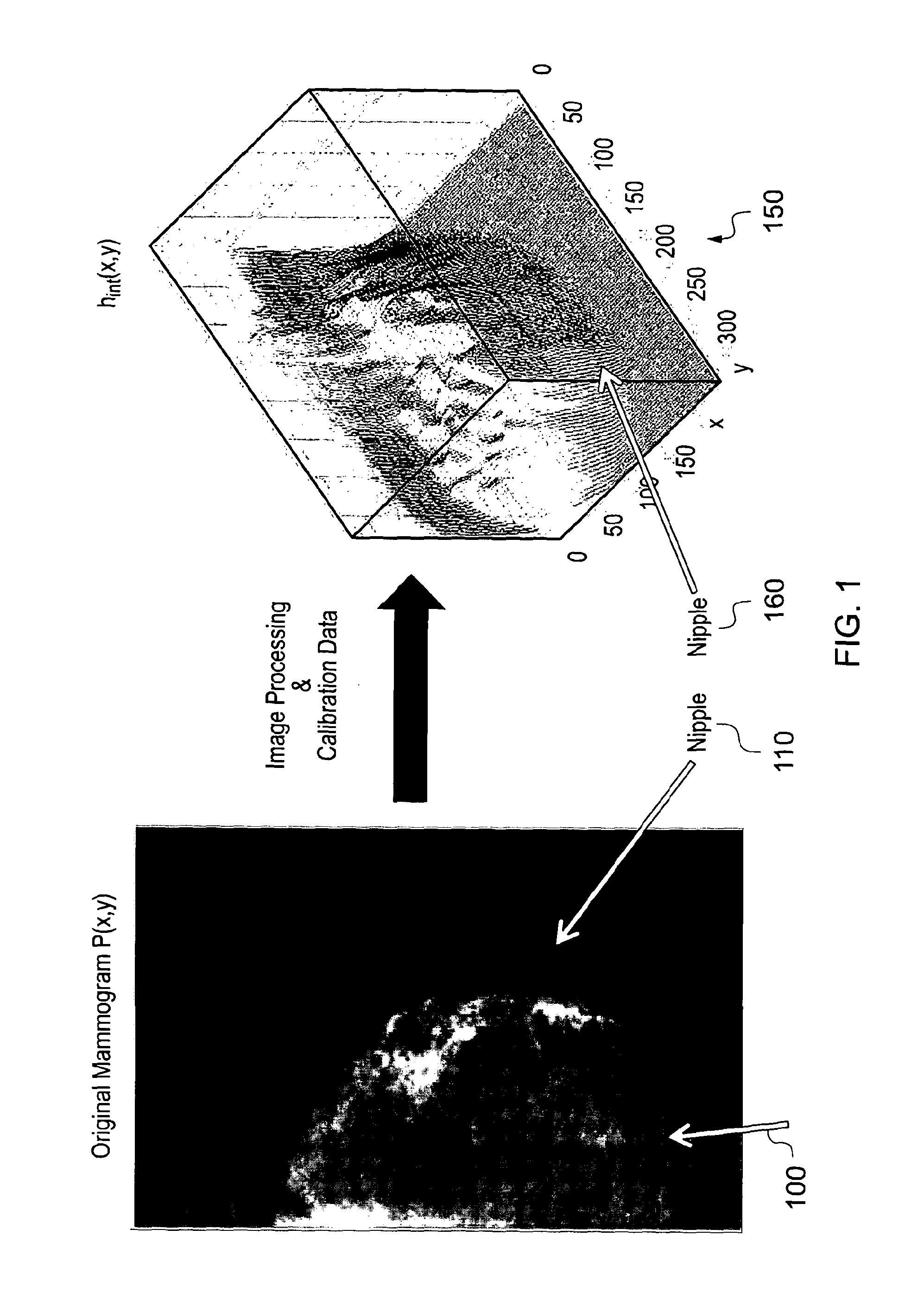 Method and system for analysing tissue from images