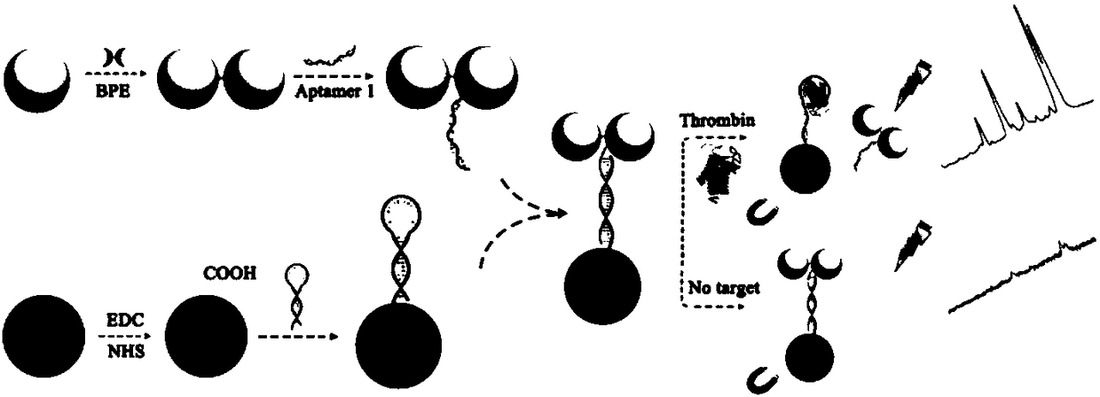 Method for detecting thrombin in ultra-sensitive mode by utilizing competitive type nano sensor