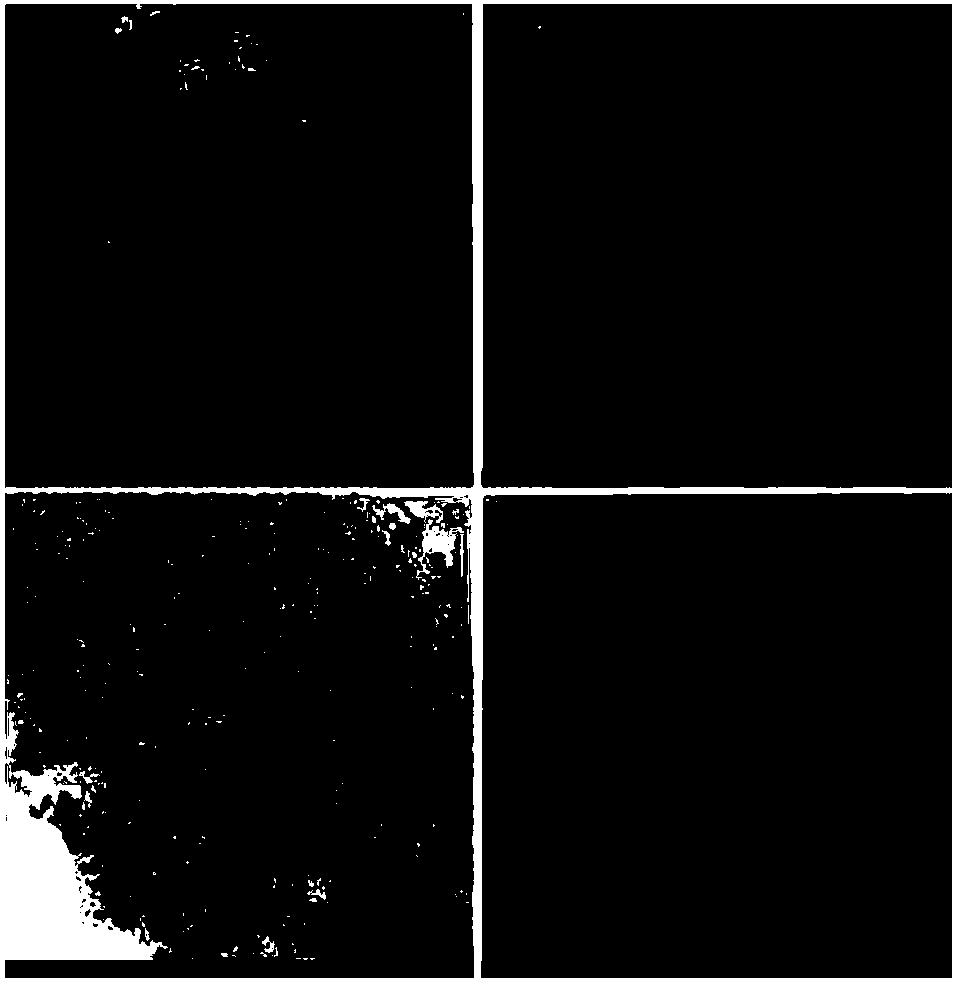 Method for detecting thrombin in ultra-sensitive mode by utilizing competitive type nano sensor