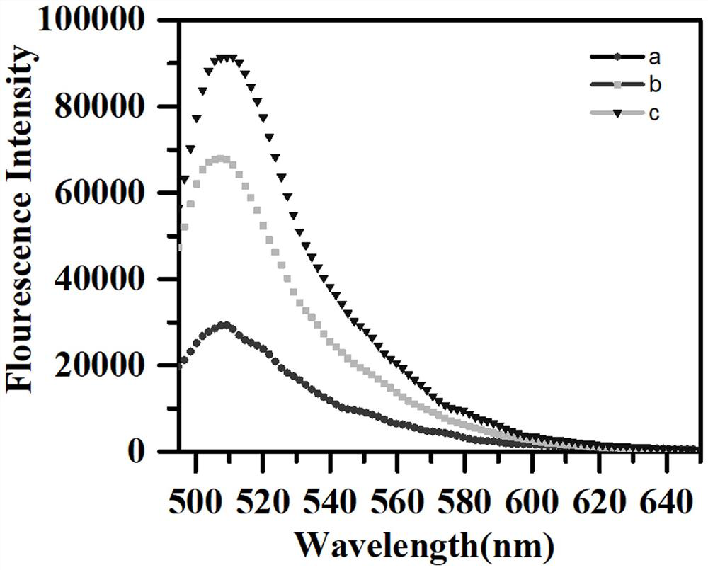 Tumor inhibition factor Let-7a detection kit based on strand displacement and enzyme-assisted circulation signal amplification and use method of tumor inhibition factor Let-7a detection kit