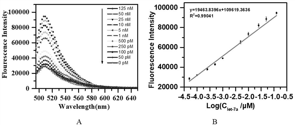 Tumor inhibition factor Let-7a detection kit based on strand displacement and enzyme-assisted circulation signal amplification and use method of tumor inhibition factor Let-7a detection kit