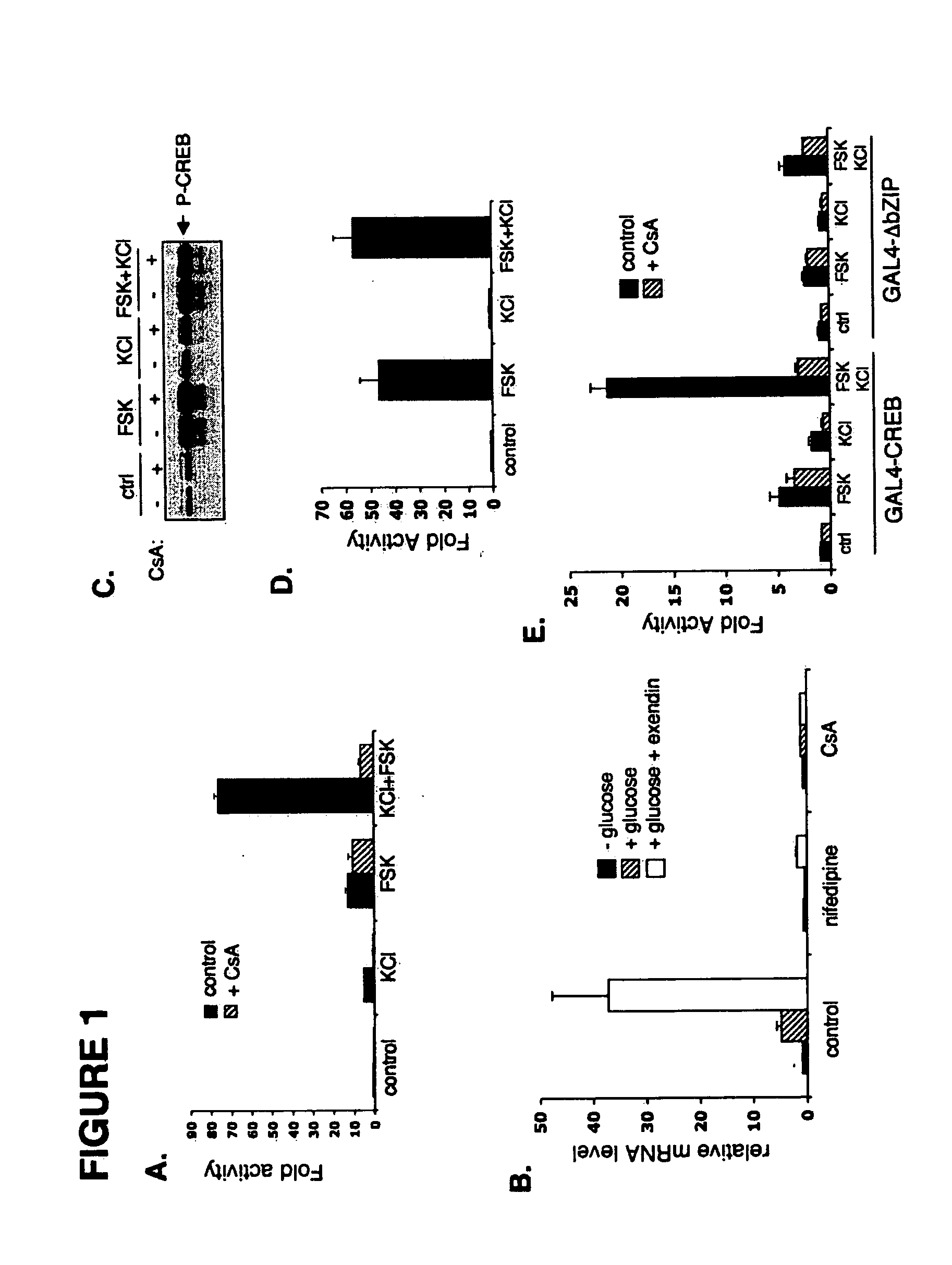 Method for screening compounds & uses therefor