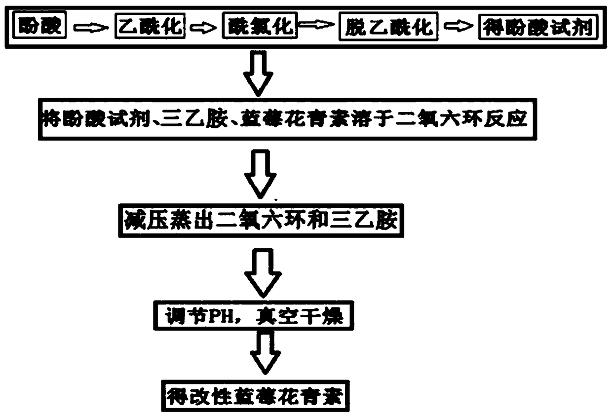 A method for enhancing the antioxidant performance of blueberry anthocyanins