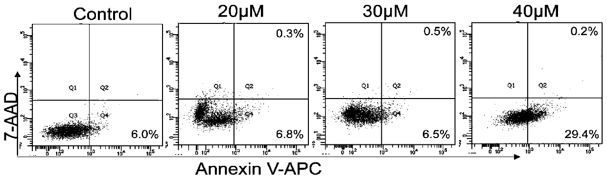 Application of imidazoquinazoline derivatives and salts thereof in preparation of PIM1 enzyme inhibitor, PIM1 enzyme inhibitor and application of PIM1 enzyme inhibitor