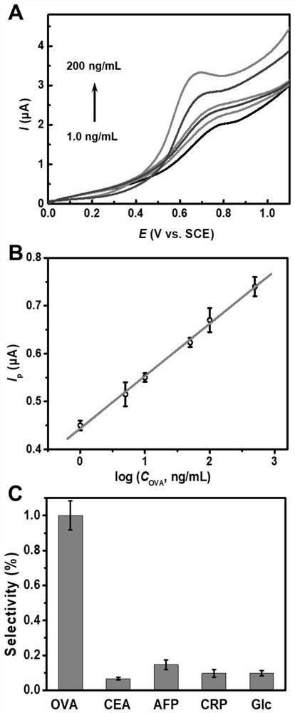 Electrochemical sensing method for accurately detecting trace protein molecules