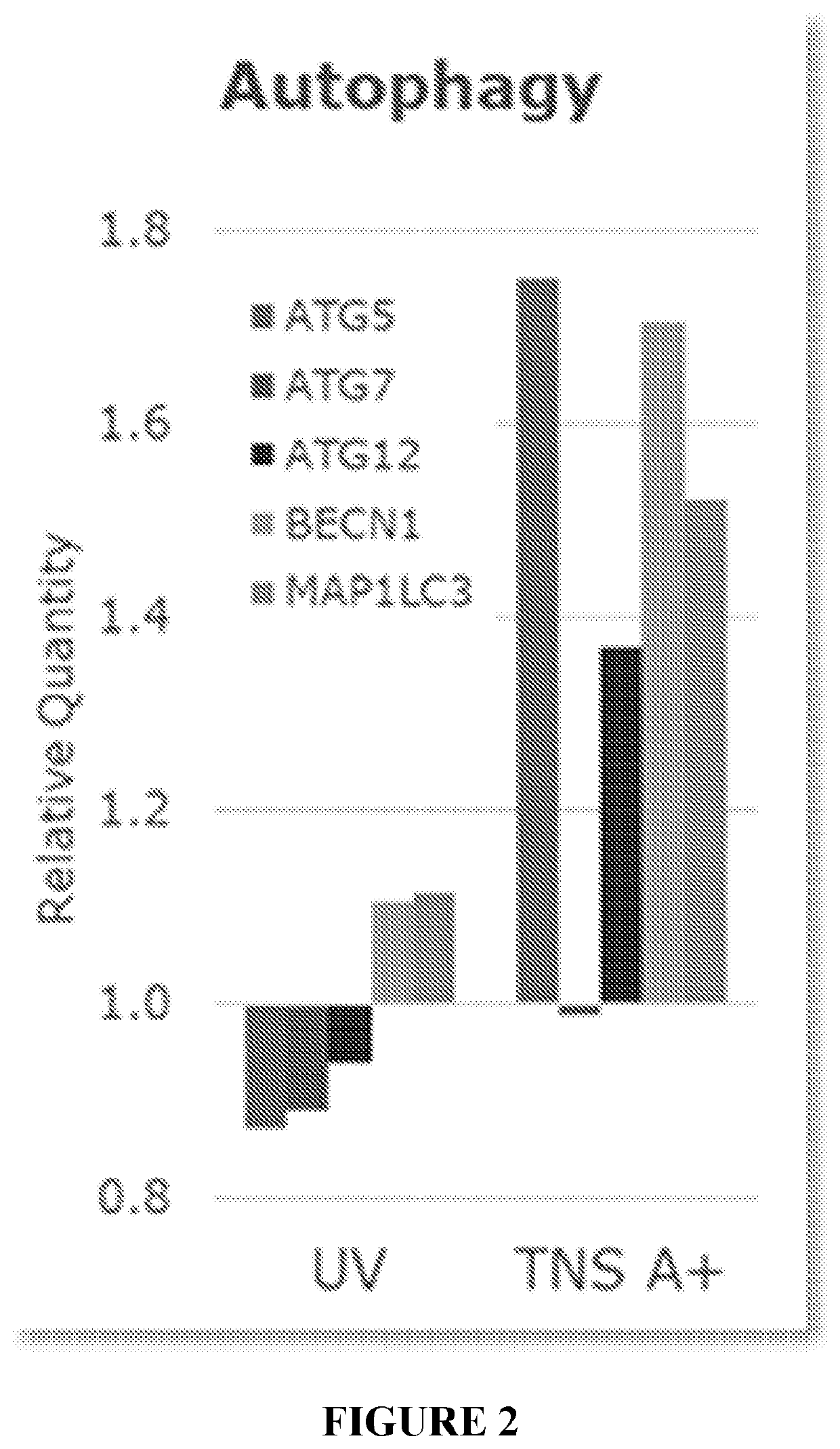 Conditioned medium and methods of use thereof