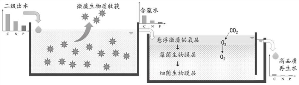 Microalgae culture pool-constructed wetland coupling system and method for deep purification of sewage