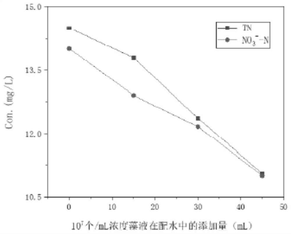 Microalgae culture pool-constructed wetland coupling system and method for deep purification of sewage