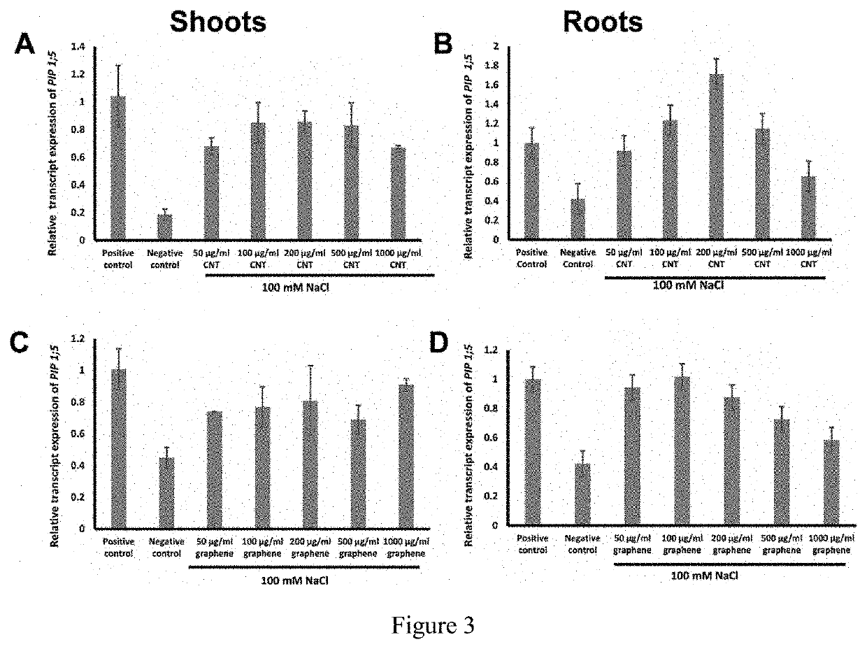 Method for reduction of salt stress symptoms during plant cultivation in saline conditions by application of carbon-based nanomaterials (CBN) to growth medium and applications of same