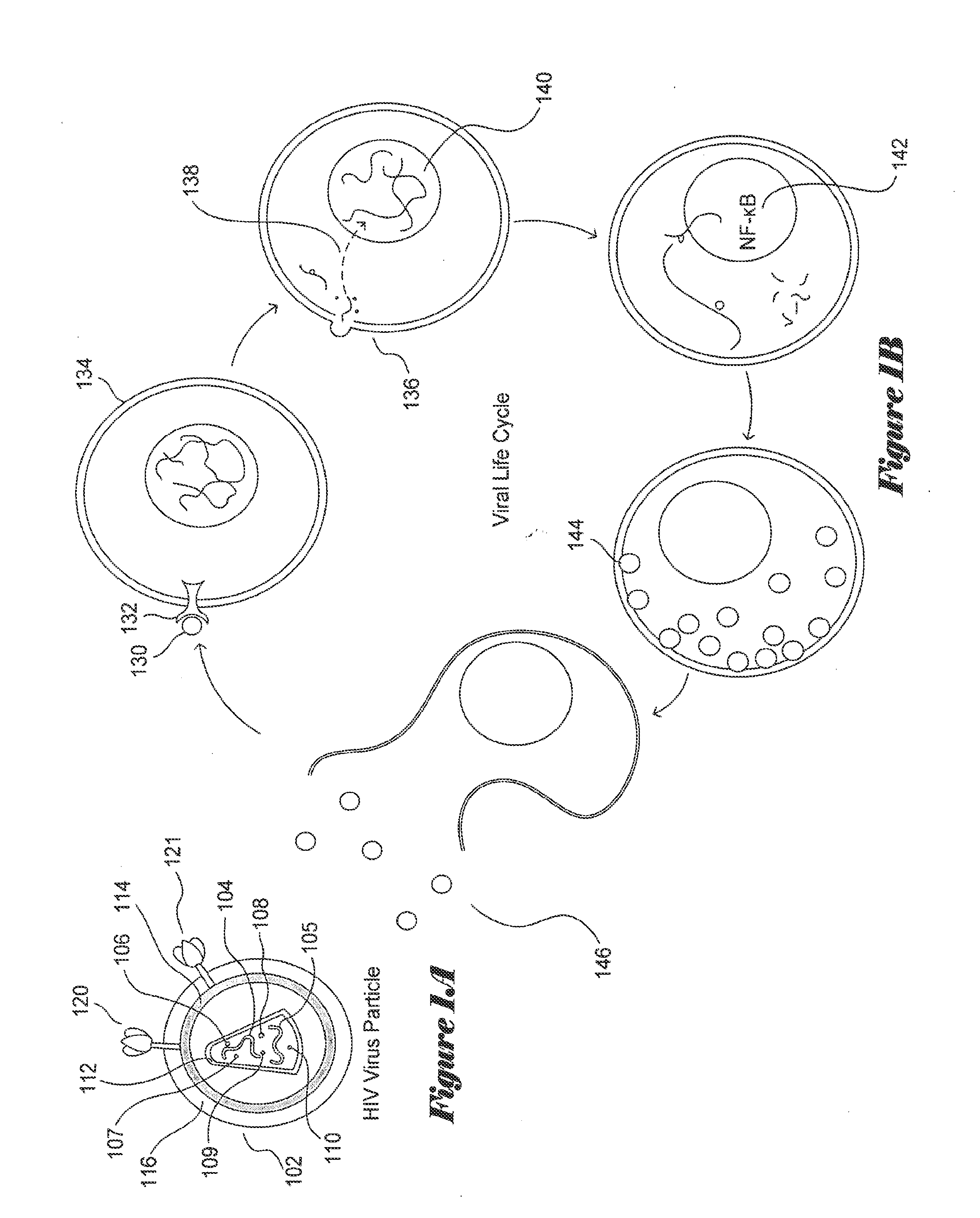 Conserved-Element Vaccines and Methods for Designing Conserved-Element Vaccines