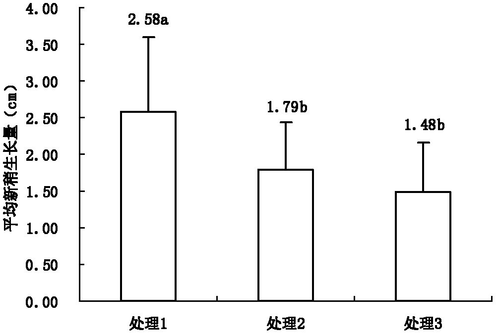 Microbial organic fertilizer as well as preparation method and application thereof