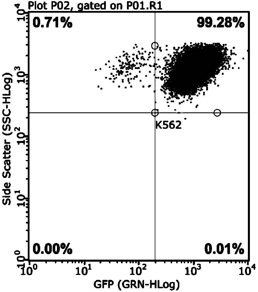 Method for detecting activity of NK (Natural Killer) cell