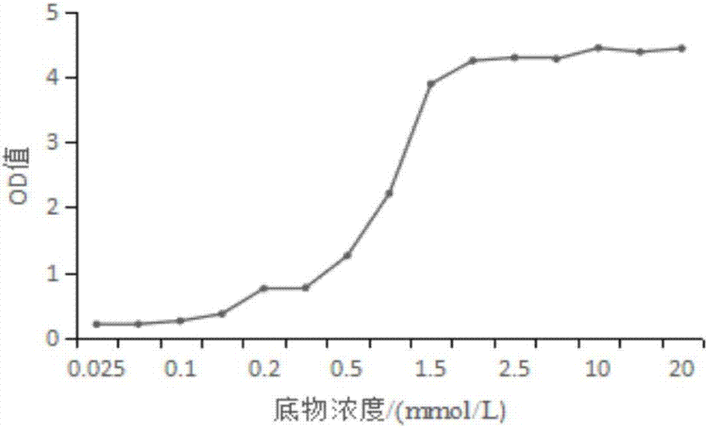 Spatial lactobacillus plantarum SS18-5 for reducing alpha-glucosidase activity and application thereof