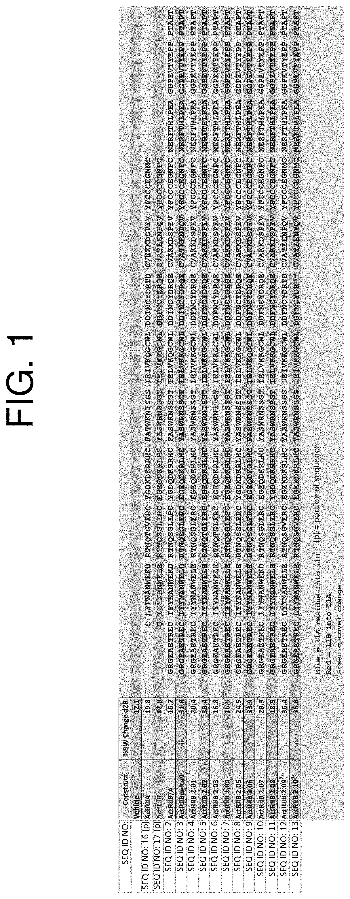 Activin receptor type iib variants and methods of use thereof