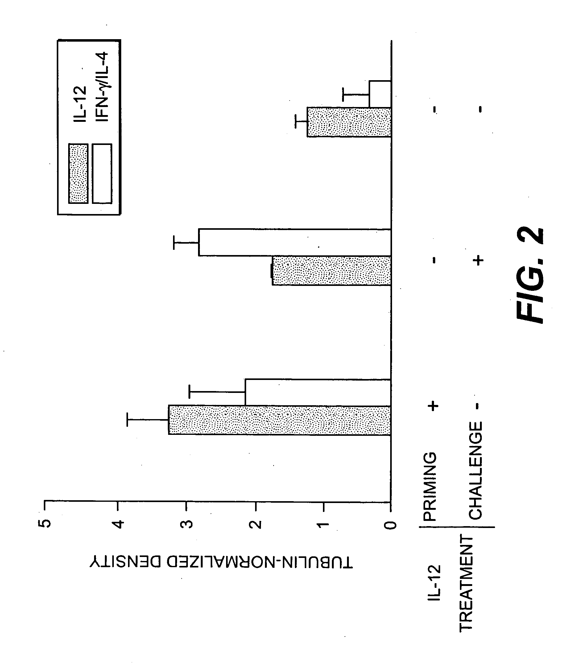 Interleukin-12 as an adjuvant for paramyxoviridae vaccines