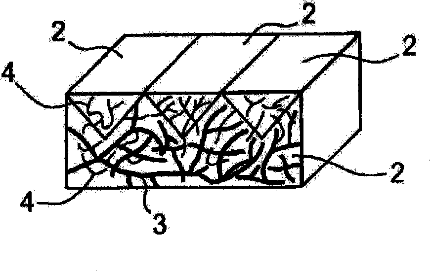 Polymer gel structure and method for producing same